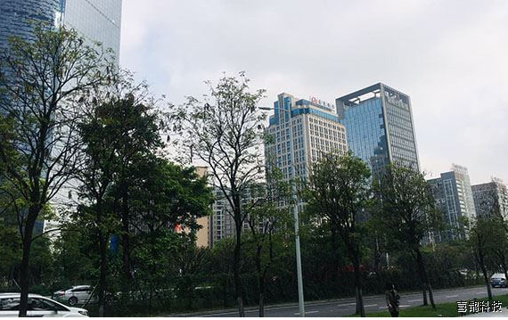 钮纽实业精英团队莅临我公司欢庆开业典礼